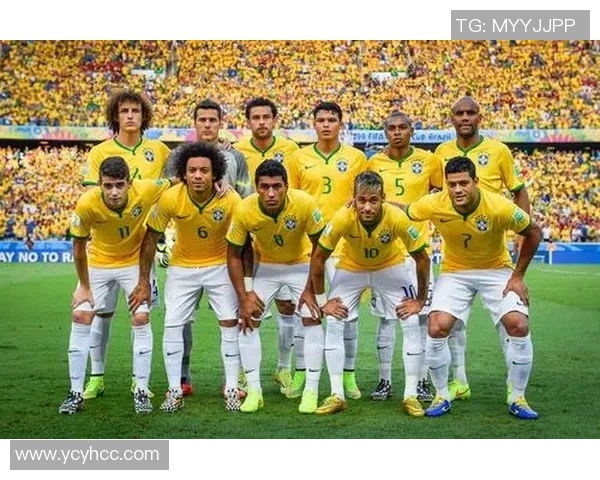 中国足球球星号码查询平台全面升级助力球迷快速了解球员信息