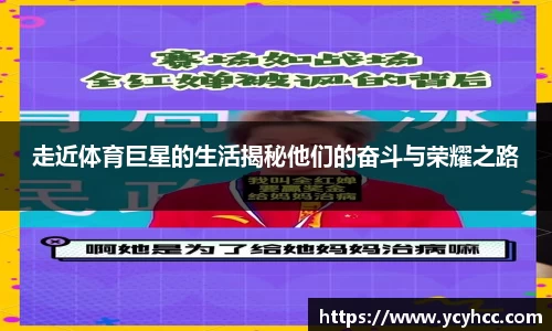 3377体育APP