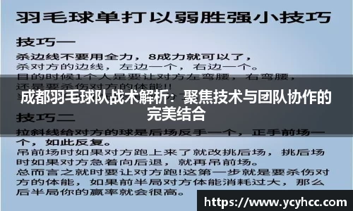 成都羽毛球队战术解析：聚焦技术与团队协作的完美结合