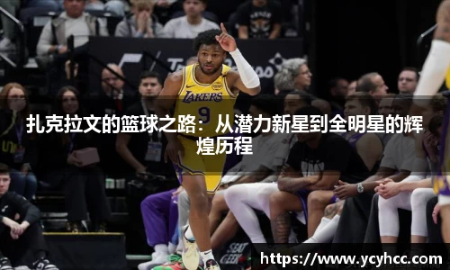 3377体育官网