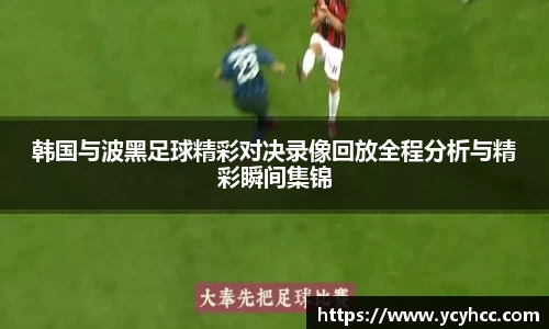 韩国与波黑足球精彩对决录像回放全程分析与精彩瞬间集锦