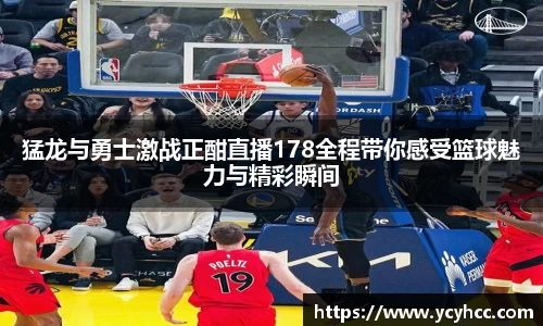 猛龙与勇士激战正酣直播178全程带你感受篮球魅力与精彩瞬间